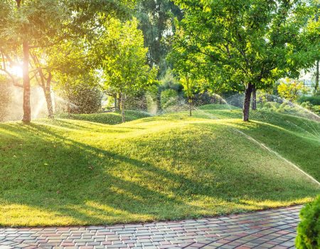 شركة تنسيق حدائق شركة تنسيق حدائق